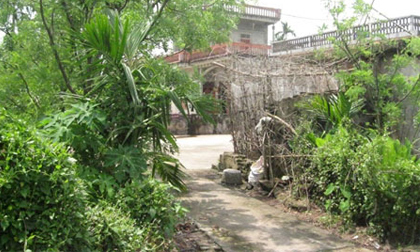 Thái Bình: Con rể công khai ngoại tình với... mẹ vợ