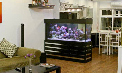 Đặt bể cá cảnh rước tài lộc vào nhà