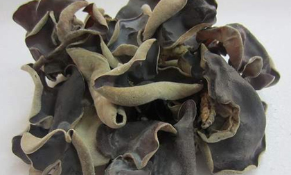 Cách dùng mộc nhĩ đen phòng, trị bệnh