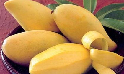 Những loại quả ăn càng nhiều, ‘yêu’ càng khoẻ