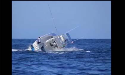 Clip sốc cá kiếm kéo đắm tàu