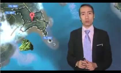 Tổng hợp những clip hay của Toàn Shinoda