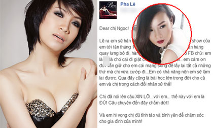 Pha Lê khuyên Dương Yến Ngọc tỉnh táo để chăm lo cho gia đình, tuyên bố chấm dứt scandal