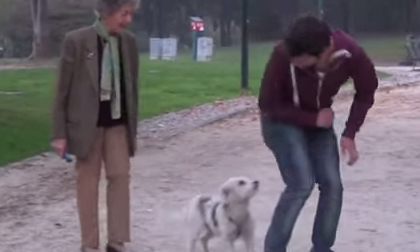 Không thể nhịn cười với những trò đùa quái ác - p5