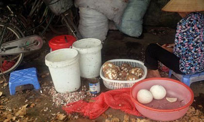 Công nghệ làm kem bẩn, xưởng sản xuất như chuồng heo