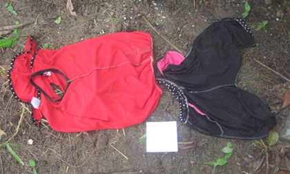 Thi thể bé gái có dấu hiệu phân hủy dưới ao nước