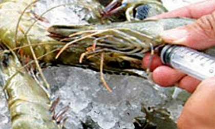 Đưa tạp chất vào tôm nguyên liệu có thể bị tội hình sự