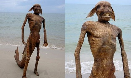 Kinh hoàng: Phát hiện 'thi thể người cá'