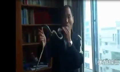 Thót tim với màn biểu diễn nuốt rắn của 'Xà Vương'