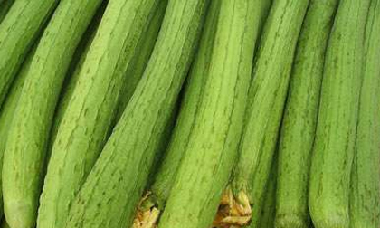 Những công dụng tuyệt vời từ trái Mướp