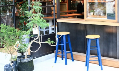 10 kiểu bạn đồng hành thú vị khi đi du lịch