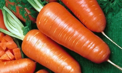 Mẹo đơn giản trị tóc bạc sớm cực hiệu quả