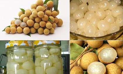 Những công dụng tuyệt vời của nhãn