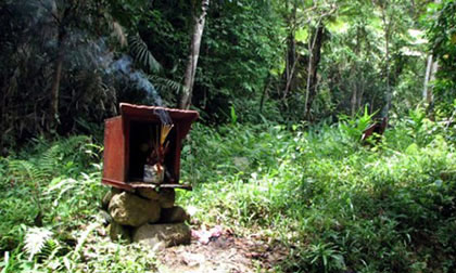 Cuộc thảm sát kinh hoàng lôi 18 'phu' vàng vào rừng bắn chết