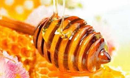 Cảnh báo: Mật ong có thể là thuốc độc