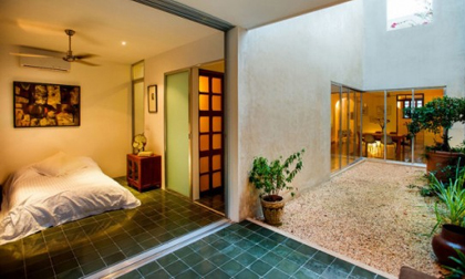 Nhà Cây: Nhà lẫn vào cây