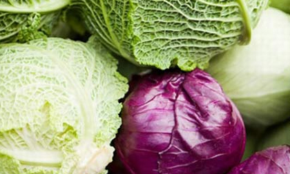 Lý do bắt buộc bạn phải ăn bắp cải