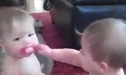Hài hước hai em bé sinh đôi tranh nhau núm vú giả