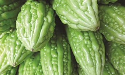 Tuyệt diệu mướp đắng