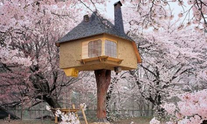 Chiêm ngưỡng nhà cây tuyệt đẹp khắp thế giới