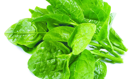 Thực phẩm bổ thận tráng dương thường ngày mà bạn không biết