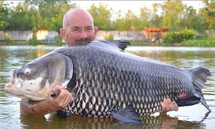 Cá chép lớn nhất thế giới bị tóm gọn ở Thái Lan