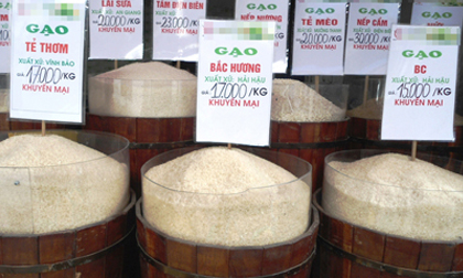 Kinh hãi gạo thơm nấu ra cơm… độc!