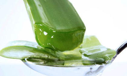 4 cách nha đam giúp bạn giảm cân hiệu quả