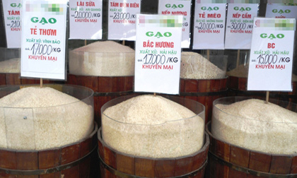 Bị đầu độc hàng ngày bởi gạo thơm, cơm… độc!