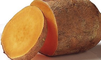 Tác dụng chữa bệnh thần kỳ của khoai lang