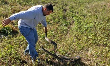 Người đàn ông có sở thích bắt rắn bằng tay không