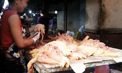 Thịt gà tồn cuối chợ đầu mối đi về đâu?