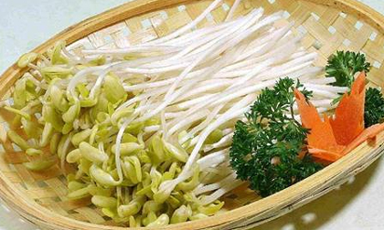 Lợi ích bất ngờ từ giá đỗ