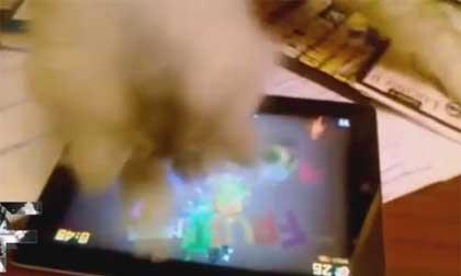 Động vật cũng biết dùng đồ công nghệ