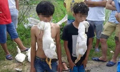 Bắt trẻ cắn vịt sống quỳ dưới đường vì ăn trộm