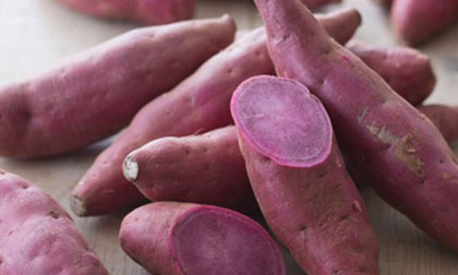 Vì sao bạn nên ăn khoai lang hàng ngày?