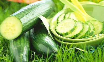 Có thể tử vong nếu ăn dưa chuột không đúng cách