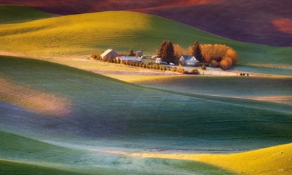 Ngắm những sắc màu rực rỡ trên đồng cỏ Mỹ