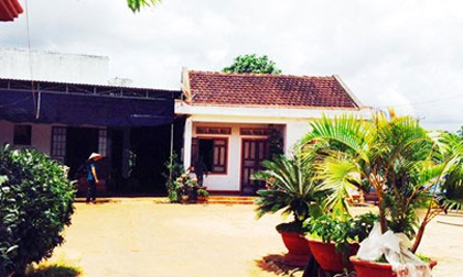 Thực hư cô gái bị bắt cóc, mổ lấy thận trên ô tô