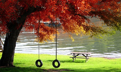 Top các cung hoàng đạo may mắn nhất trong tháng 9