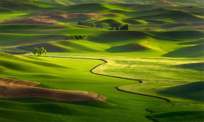 Hình ảnh tuyệt đẹp của những cánh đồng trên đất Mỹ