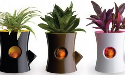 Tô điểm không gian sống với 2 mẫu chậu cây cực sáng tạo