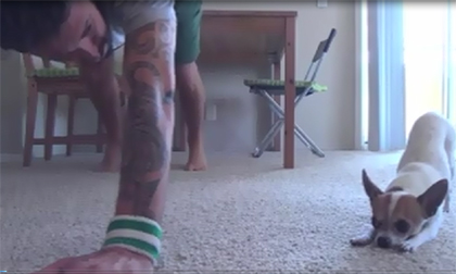 Khả năng bắt chước cực đỉnh của chú chó 