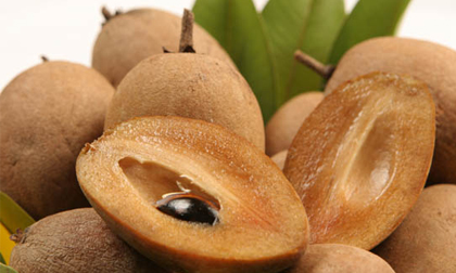 Những loại quả trị tiêu chảy cho trẻ