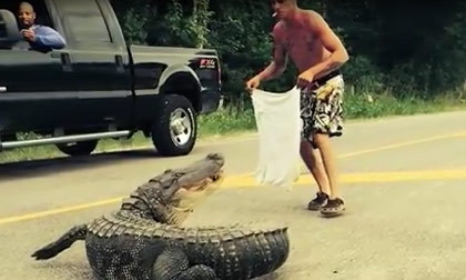 Bị cắn nát tay vì đùa với cá sấu
