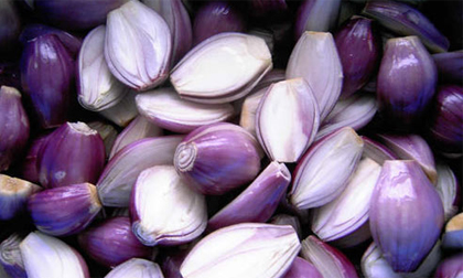 Trị cúm cho mẹ bầu thời tiết giao mùa