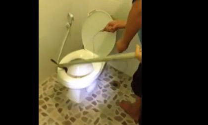Phát hiện rắn trong toilet
