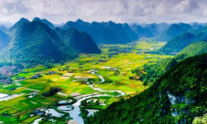 Cánh đồng lúa Bắc Sơn lộng lẫy trên báo nước ngoài 