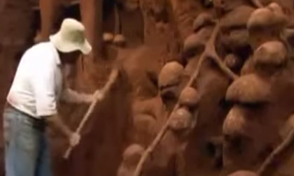 Khám phá kiến trúc của tổ Kiến