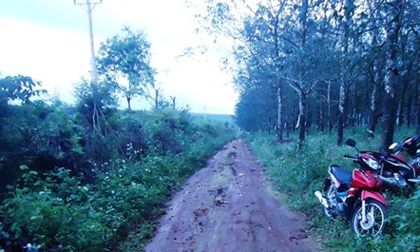 Phát hiện xác phụ nữ nghi bị sát hại trong rẫy cà phê